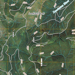 Newaukum Lake, WA (2011, 24000-Scale) Preview 2
