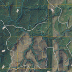 North Nemah, WA (2011, 24000-Scale) Preview 2