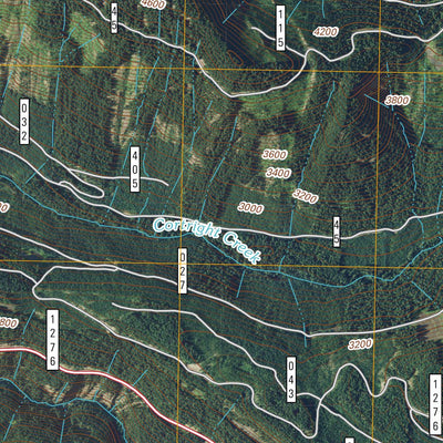 Ohanapecosh Hot Springs, WA (2011, 24000-Scale) Preview 3