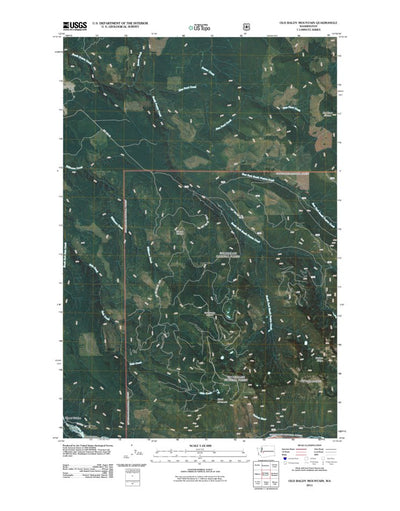 Old Baldy Mountain, WA (2011, 24000-Scale) Preview 1