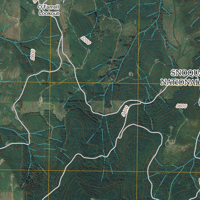 Old Baldy Mountain, WA (2011, 24000-Scale) Preview 2