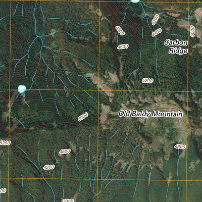 Old Baldy Mountain, WA (2011, 24000-Scale) Preview 3