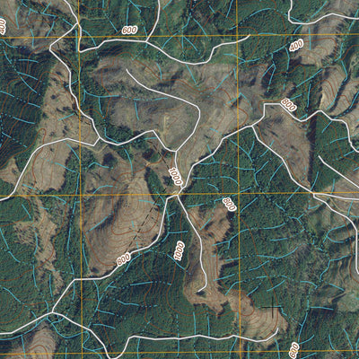 Oman Ranch, WA (2011, 24000-Scale) Preview 3