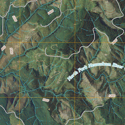 Onalaska NW, WA (2011, 24000-Scale) Preview 2