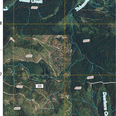 Orwig Hump, WA-ID (2011, 24000-Scale) Preview 3