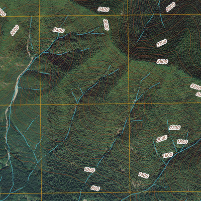 Owl Mountain, WA (2011, 24000-Scale) Preview 2