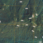 Packwood Lake, WA (2011, 24000-Scale) Preview 3