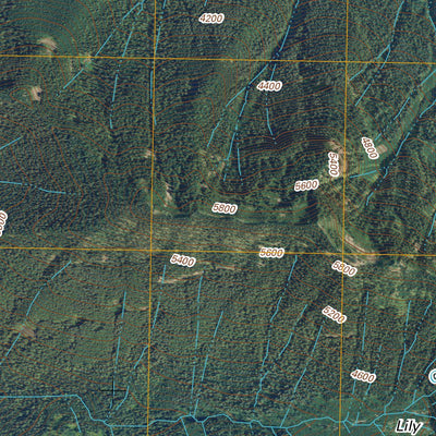 Packwood Lake, WA (2011, 24000-Scale) Preview 3