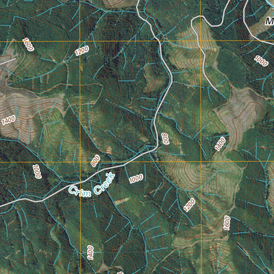 Pe Ell, WA (2011, 24000-Scale) Preview 3