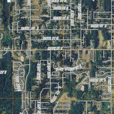 Puyallup, WA (2011, 24000-Scale) Preview 3