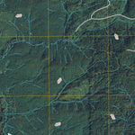 Railroad Camp, WA (2011, 24000-Scale) Preview 2