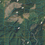 Railroad Camp, WA (2011, 24000-Scale) Preview 3