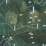 Randle, WA (2011, 24000-Scale) Preview 3