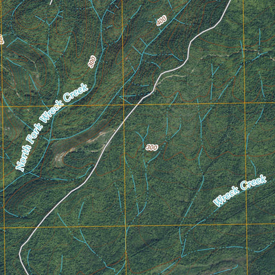 Shale Slough, WA (2011, 24000-Scale) Preview 2