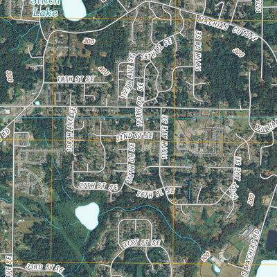 Snohomish, WA (2011, 24000-Scale) Preview 3