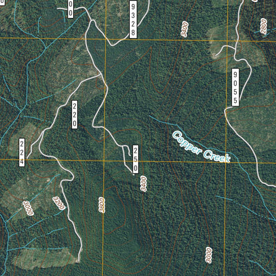 Spencer Butte, WA (2011, 24000-Scale) Preview 3