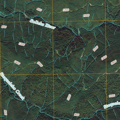 Stequaleho Creek, WA (2011, 24000-Scale) Preview 2