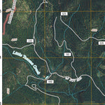 Timber Mountain, WA (2011, 24000-Scale) Preview 3