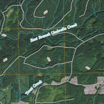Umbrella Creek, WA (2011, 24000-Scale) Preview 2
