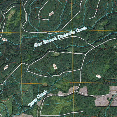 Umbrella Creek, WA (2011, 24000-Scale) Preview 2