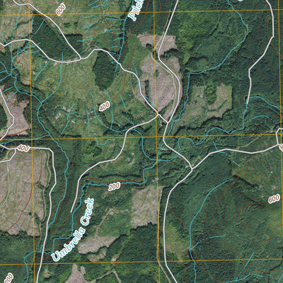 Umbrella Creek, WA (2011, 24000-Scale) Preview 3
