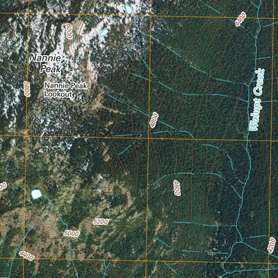 Walupt Lake, WA (2011, 24000-Scale) Preview 2