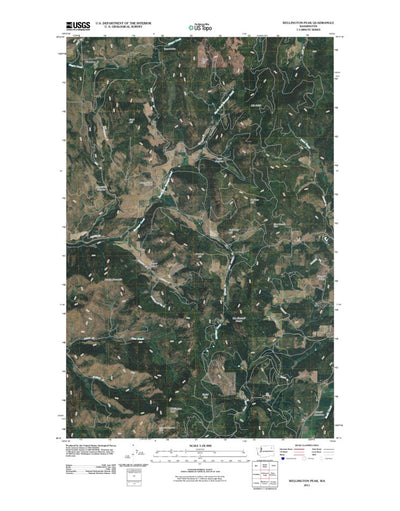 Wellington Peak, WA (2011, 24000-Scale) Preview 1