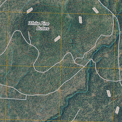 White Pine Buttes, WA (2011, 24000-Scale) Preview 3