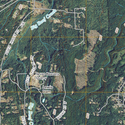 Wildcat Lake, WA (2011, 24000-Scale) Preview 3