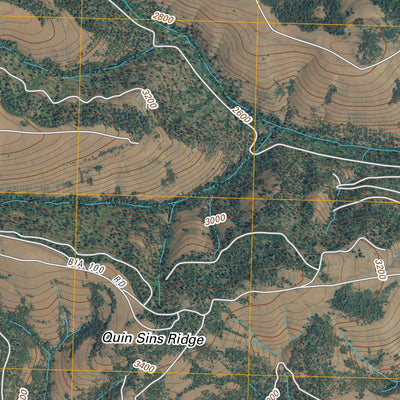 Willy Dick Canyon, WA (2011, 24000-Scale) Preview 2