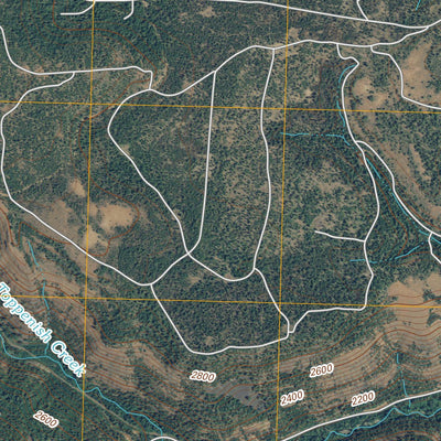 Willy Dick Canyon, WA (2011, 24000-Scale) Preview 3
