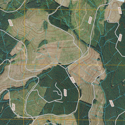 Winters Mountain, WA (2011, 24000-Scale) Preview 2