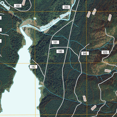 Wynoochee Lake, WA (2011, 24000-Scale) Preview 2