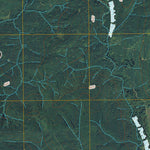 Wynoochee Valley NW, WA (2011, 24000-Scale) Preview 2