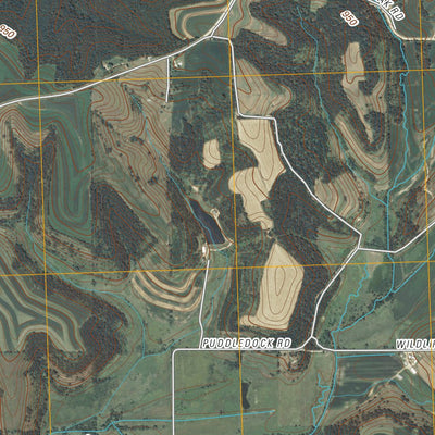 Argyle, WI (2010, 24000-Scale) Preview 3