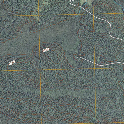 Burney Lake, WI (2010, 24000-Scale) Preview 3