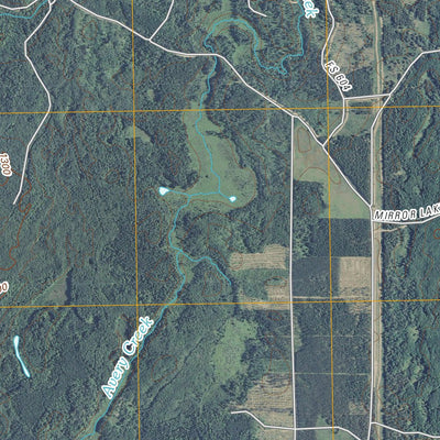 Coleman Lake, WI (2010, 24000-Scale) Preview 2