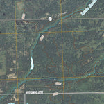 Coloma SW, WI (2010, 24000-Scale) Preview 3