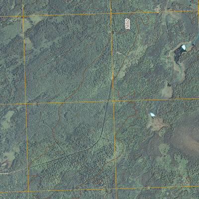 Dam Lake, WI (2010, 24000-Scale) Preview 3