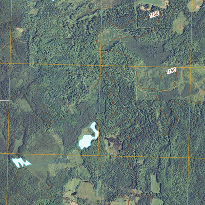 Holcombe, WI (2010, 24000-Scale) Preview 3