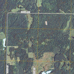 Jim Falls, WI (2010, 24000-Scale) Preview 3