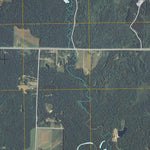 Oconto Falls South, WI (2010, 24000-Scale) Preview 3
