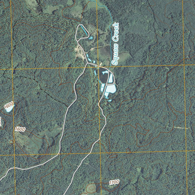 Pickerel, WI (2010, 24000-Scale) Preview 2