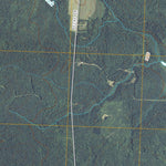 Rib River Lookout Tower, WI (2010, 24000-Scale) Preview 3