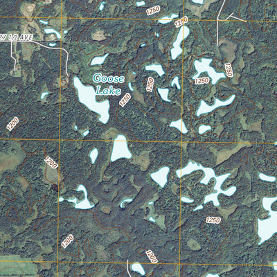 Rice Lake North, WI (2010, 24000-Scale) Preview 3