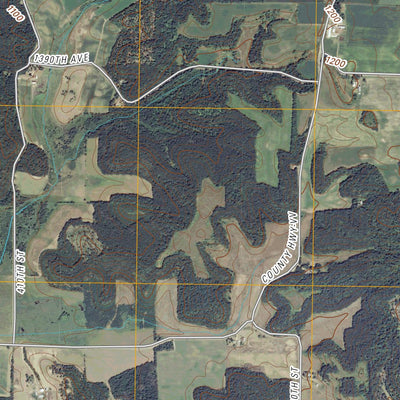 Ridgeland, WI (2010, 24000-Scale) Preview 2