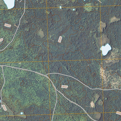 Sayner, WI (2010, 24000-Scale) Preview 3