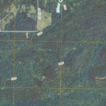 Strickland, WI (2010, 24000-Scale) Preview 3