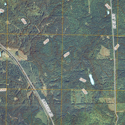 Trego, WI (2010, 24000-Scale) Preview 3