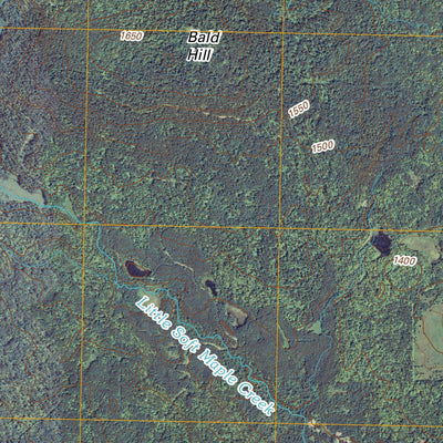 Weyerhaeuser, WI (2010, 24000-Scale) Preview 3
